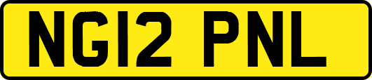 NG12PNL