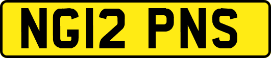 NG12PNS