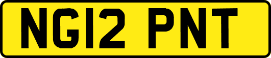 NG12PNT