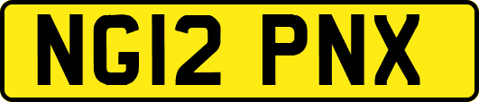NG12PNX
