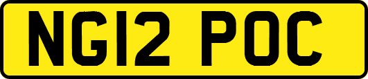NG12POC