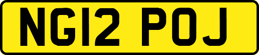 NG12POJ