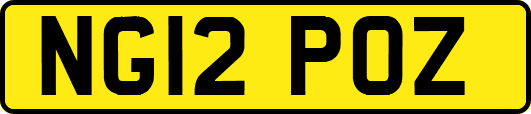 NG12POZ