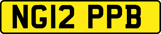 NG12PPB
