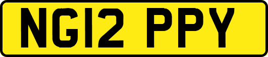 NG12PPY