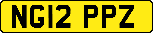 NG12PPZ