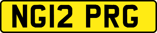 NG12PRG