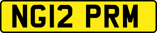 NG12PRM