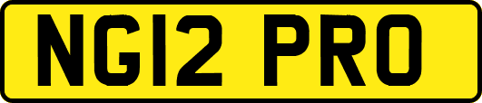 NG12PRO