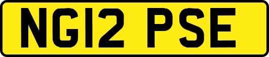 NG12PSE
