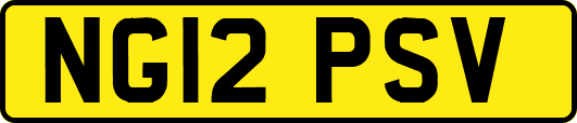 NG12PSV