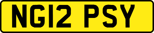 NG12PSY