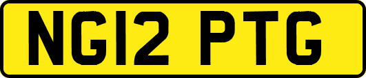 NG12PTG