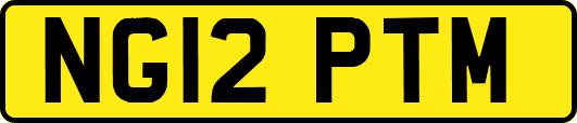 NG12PTM