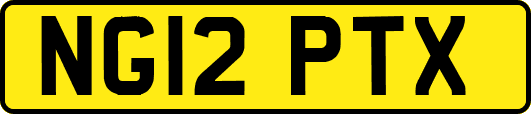 NG12PTX