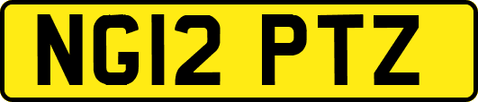 NG12PTZ