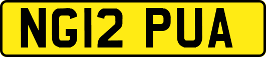 NG12PUA