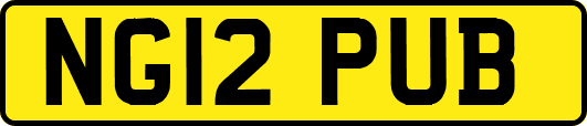 NG12PUB