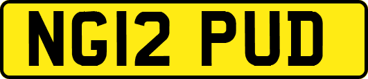 NG12PUD