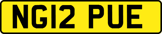 NG12PUE