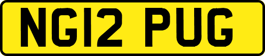 NG12PUG