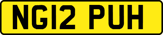 NG12PUH