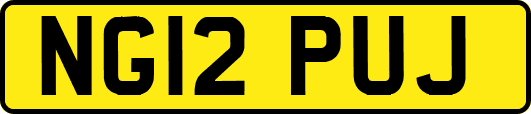 NG12PUJ