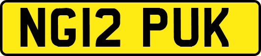 NG12PUK