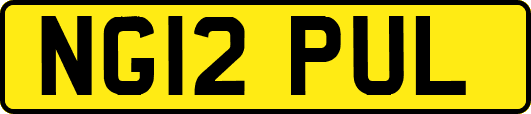 NG12PUL