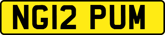 NG12PUM