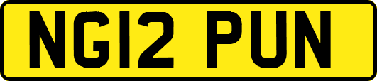 NG12PUN