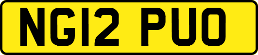 NG12PUO