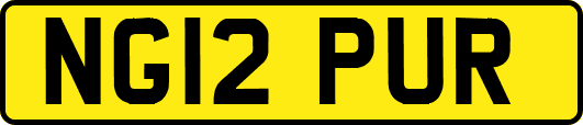 NG12PUR