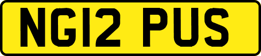 NG12PUS