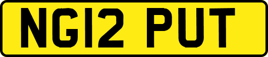 NG12PUT