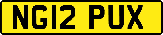 NG12PUX