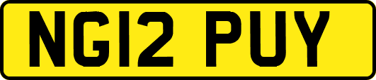 NG12PUY