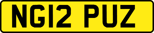 NG12PUZ