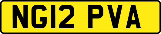 NG12PVA