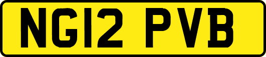 NG12PVB