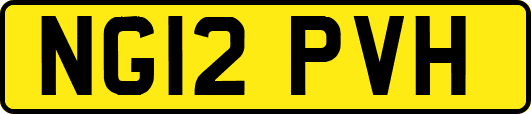 NG12PVH