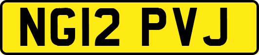 NG12PVJ