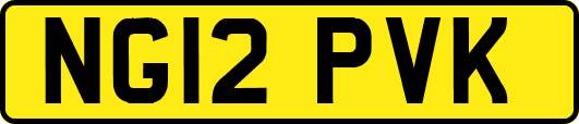 NG12PVK