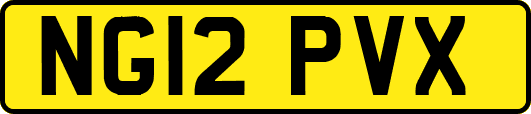 NG12PVX