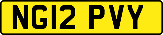 NG12PVY