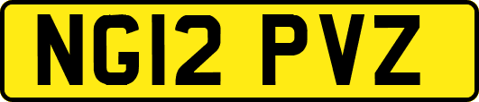 NG12PVZ
