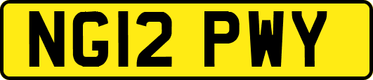 NG12PWY