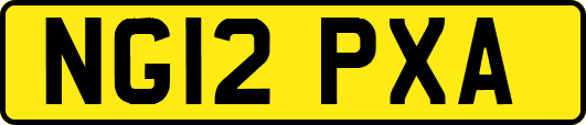 NG12PXA