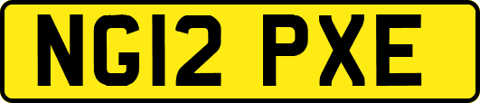 NG12PXE