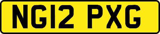 NG12PXG